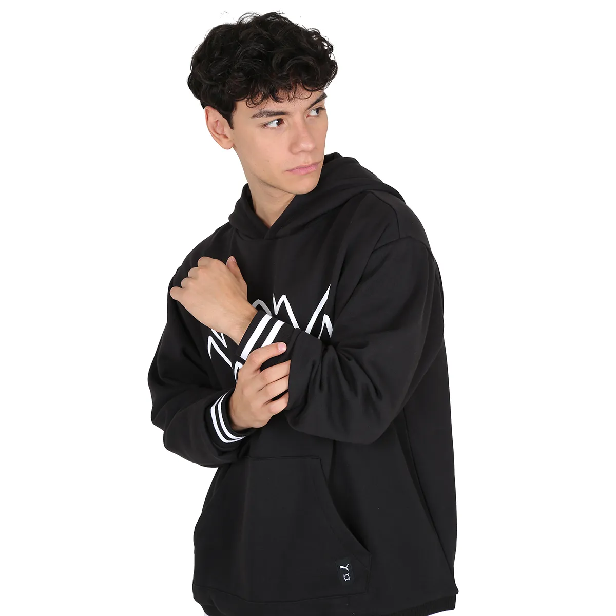 Buzo Puma Franchise Core Hombre