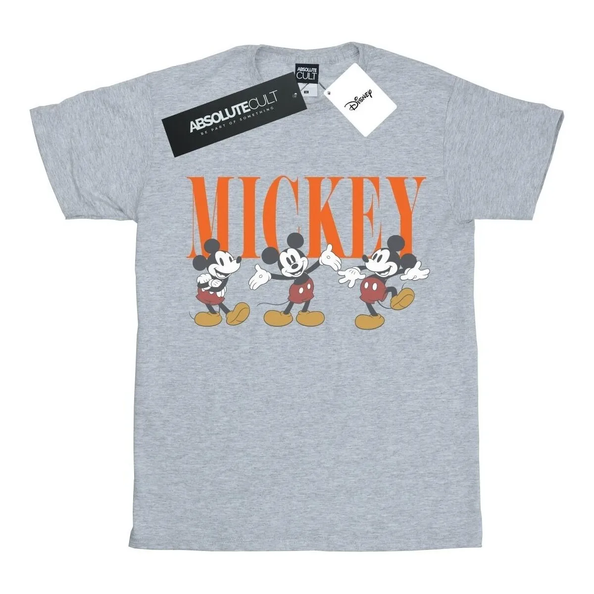 Mickey Mouse Poses